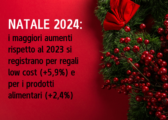 natale 2024 aumento reg low cost e alim.png